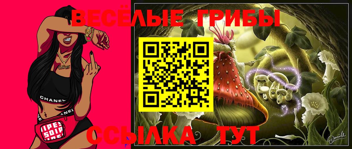 Псилоцибиновые грибы GOLDEN TEACHER  Вход с VPN  где можно купить наркотик  Узловая 
