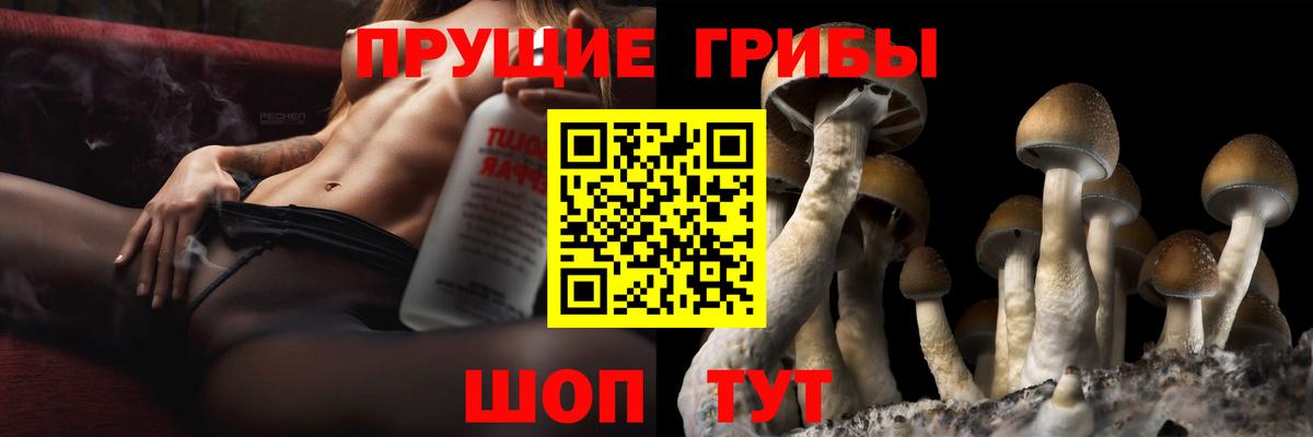 Галлюциногенные грибы мицелий Узловая